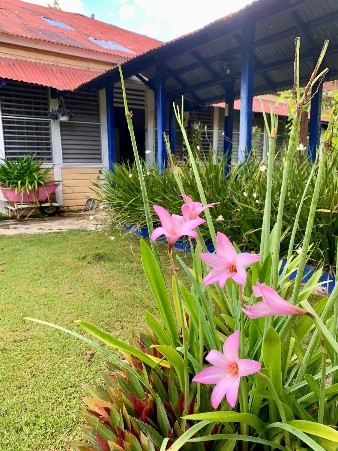 Bed and Breakfast Campito Loving Higüey Exterior foto