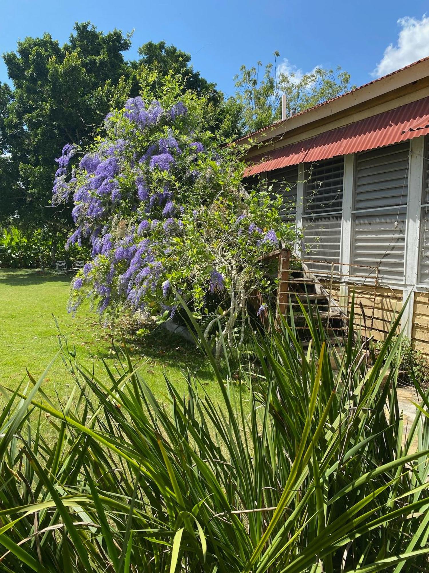 Bed and Breakfast Campito Loving Higüey Exterior foto
